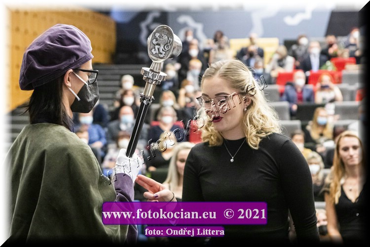 Náhled obrázku: _60A0910.jpg