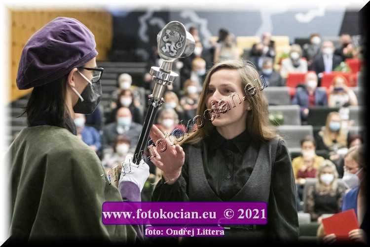 Náhled obrázku: _60A0935.jpg