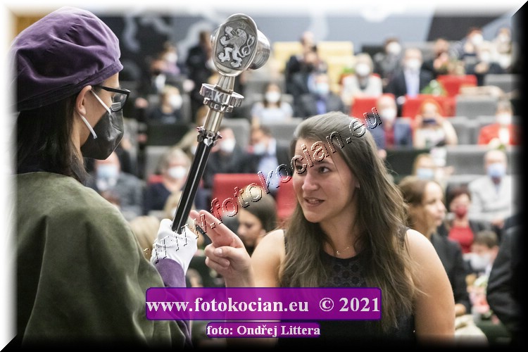 Náhled obrázku: _60A0948.jpg