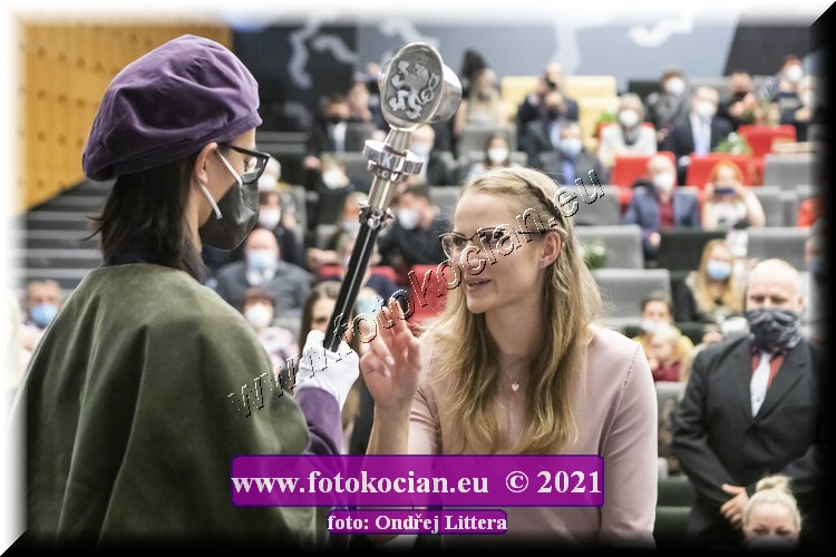 Náhled obrázku: _60A0953.jpg