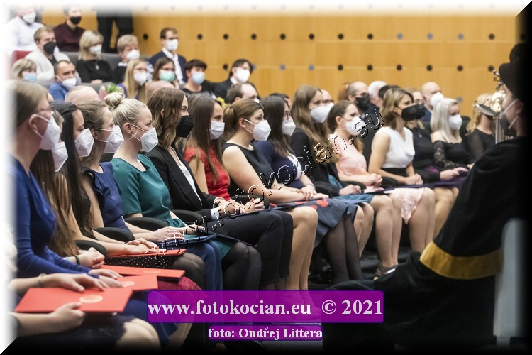 Náhled obrázku: _60A1077.jpg