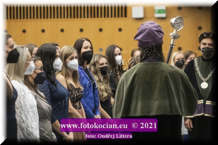 Náhled obrázku: _60A9632.jpg