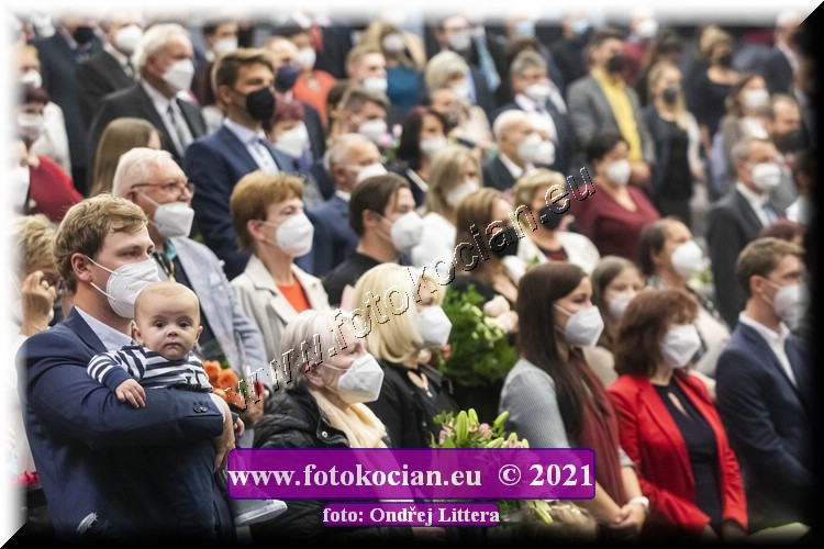 Náhled obrázku: _60A9640.jpg