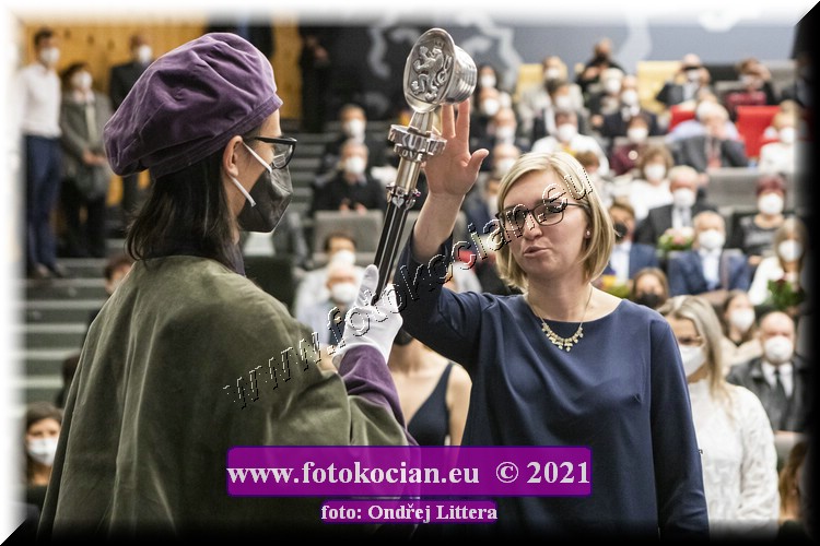 Náhled obrázku: _60A9708.jpg