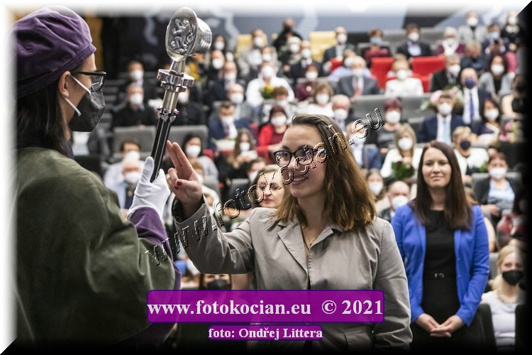 Náhled obrázku: _60A9728.jpg