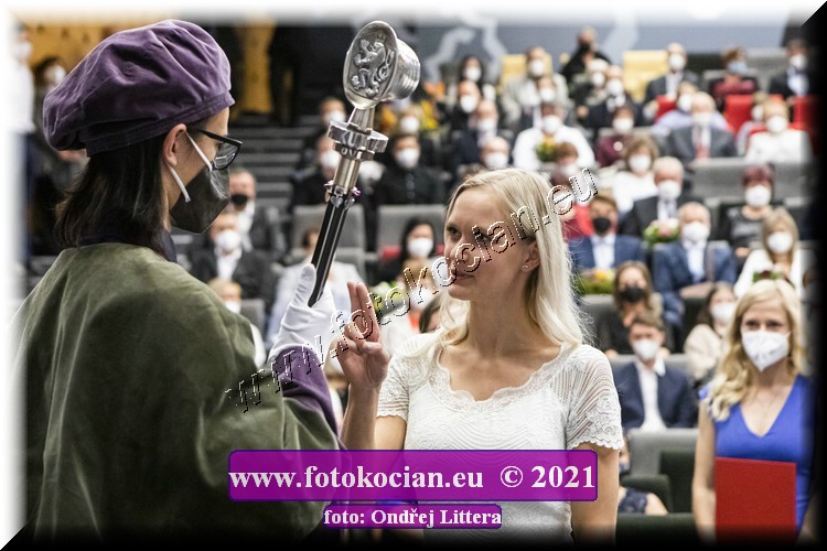 Náhled obrázku: _60A9777.jpg