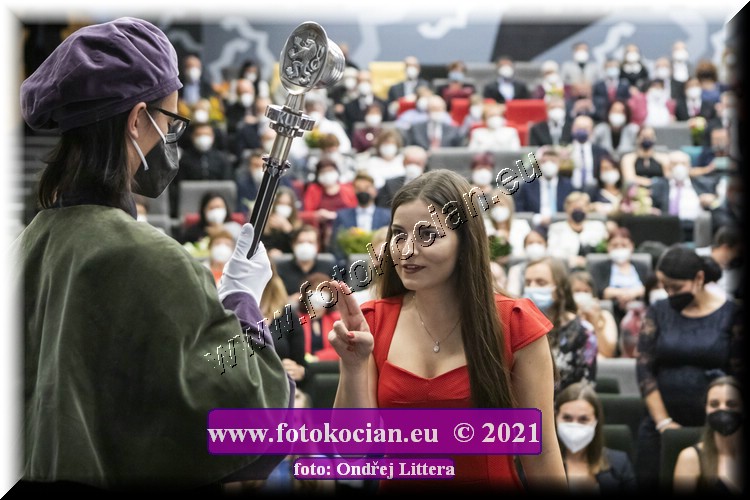 Náhled obrázku: _60A9797.jpg