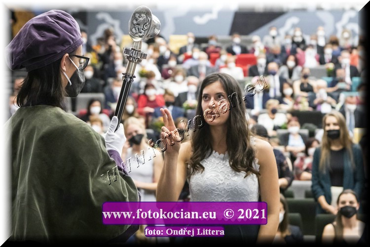 Náhled obrázku: _60A9803.jpg