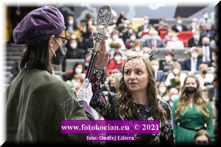 Náhled obrázku: _60A9833.jpg