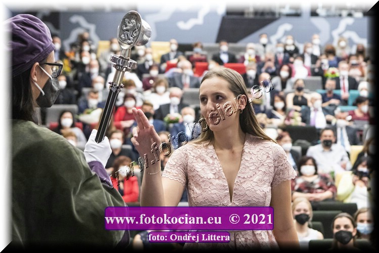 Náhled obrázku: _60A9939.jpg