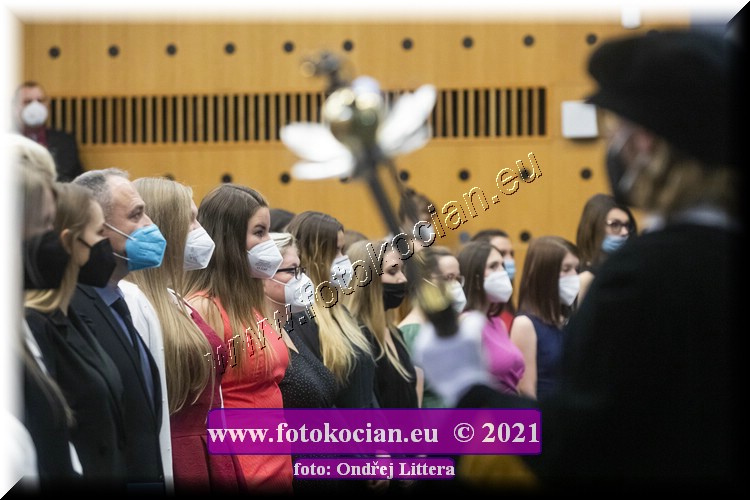 Náhled obrázku: _60A0066.jpg