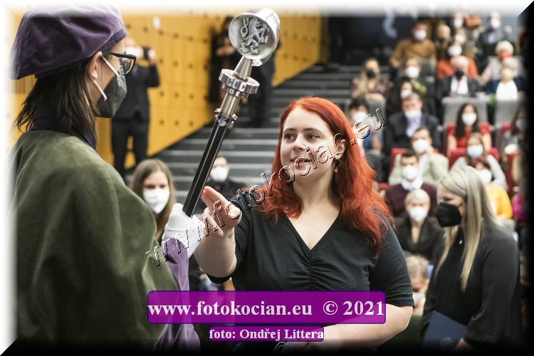 Náhled obrázku: _60A0197.jpg