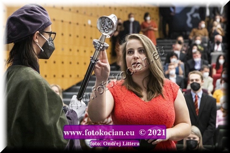 Náhled obrázku: _60A0231.jpg