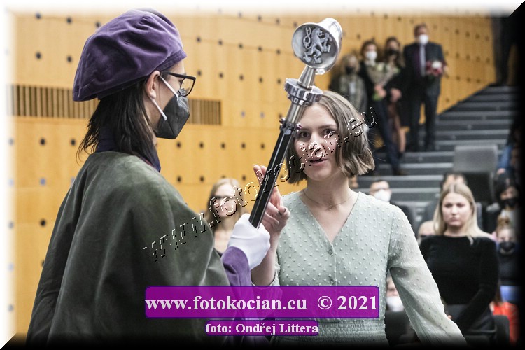 Náhled obrázku: _60A0285.jpg