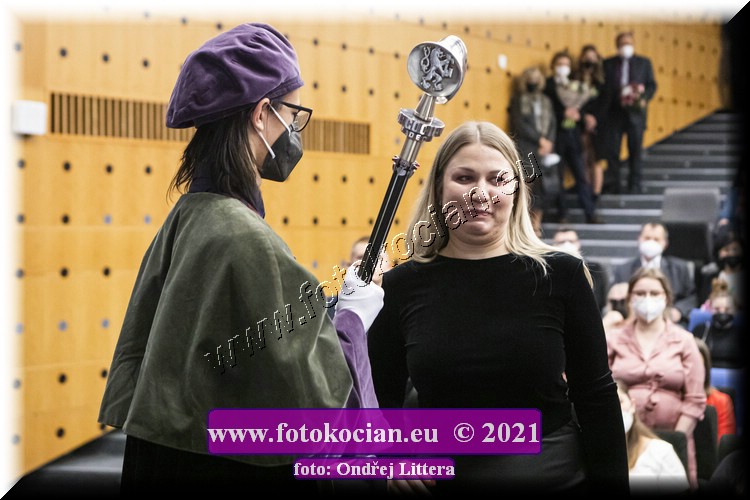 Náhled obrázku: _60A0305.jpg