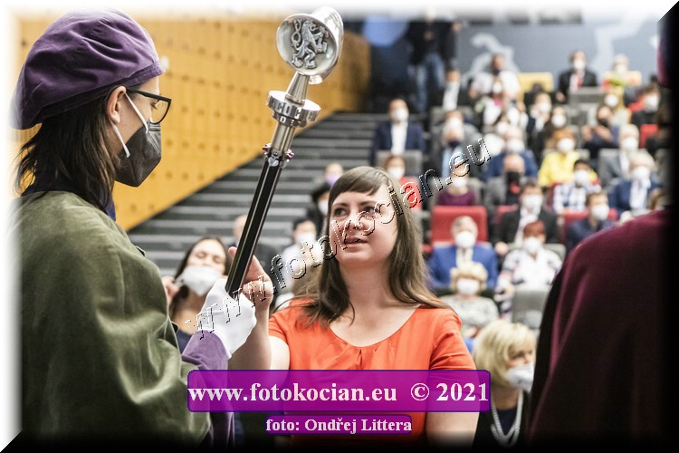 Náhled obrázku: _60A0484.jpg