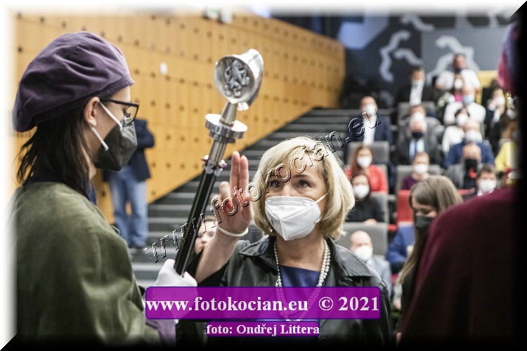 Náhled obrázku: _60A0507.jpg