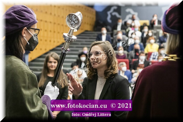 Náhled obrázku: _60A0522.jpg