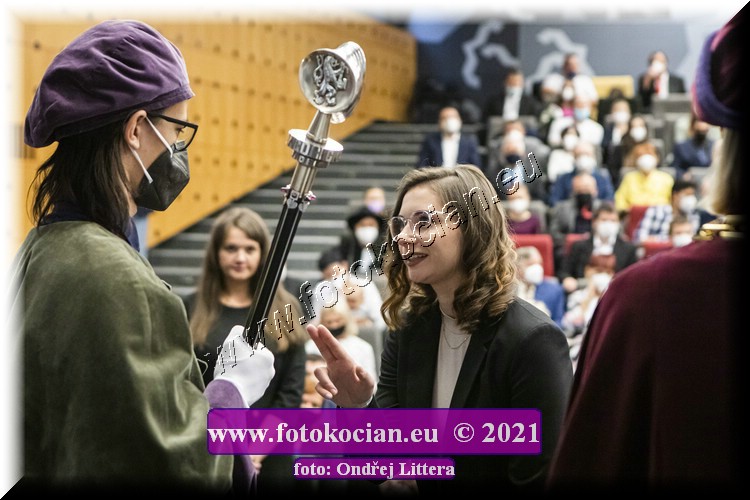 Náhled obrázku: _60A0524.jpg