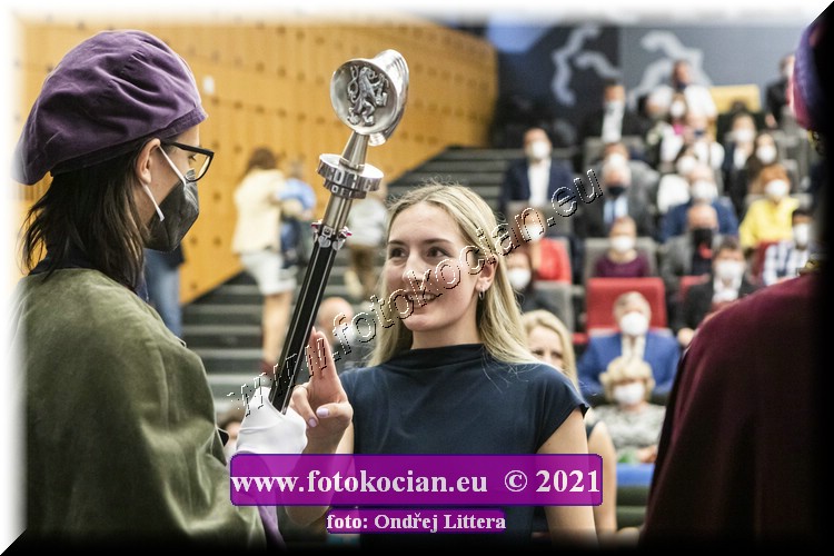 Náhled obrázku: _60A0541.jpg