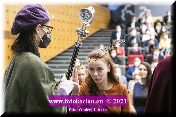 Náhled obrázku: _60A0570.jpg