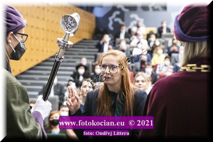 Náhled obrázku: _60A0576.jpg