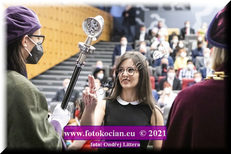 Náhled obrázku: _60A0603.jpg