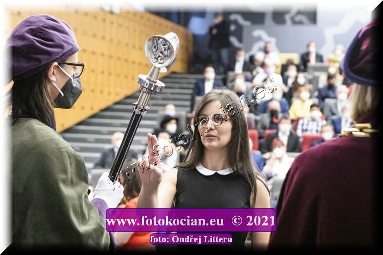 Náhled obrázku: _60A0604.jpg