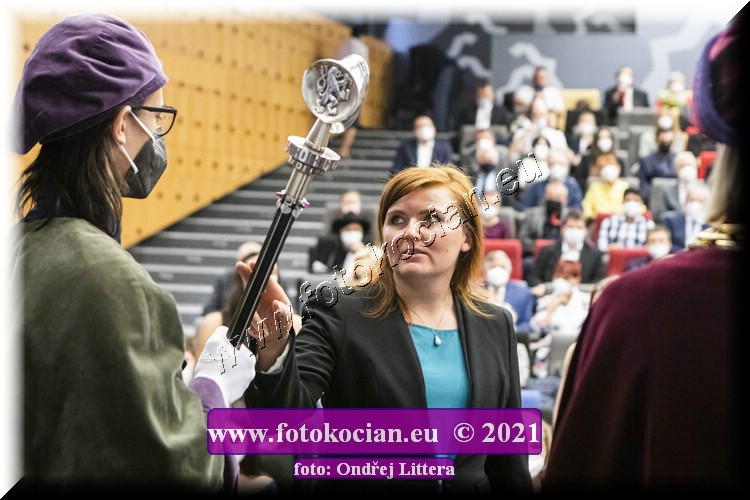 Náhled obrázku: _60A0613.jpg