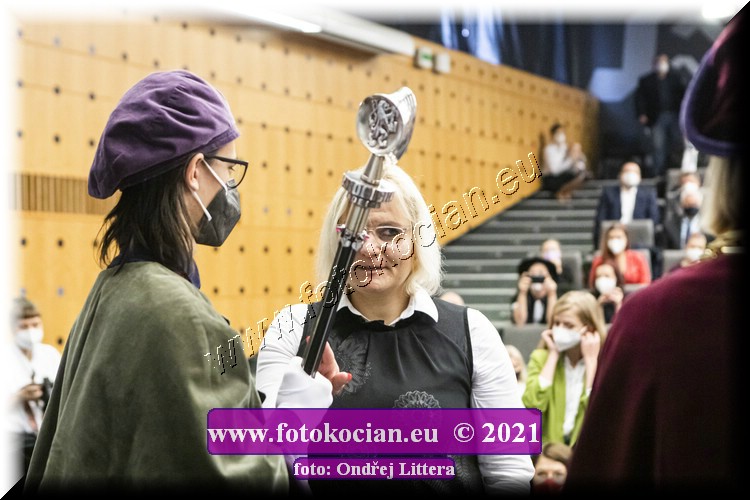 Náhled obrázku: _60A0633.jpg