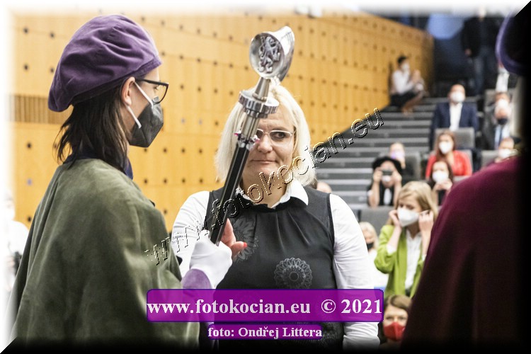 Náhled obrázku: _60A0634.jpg