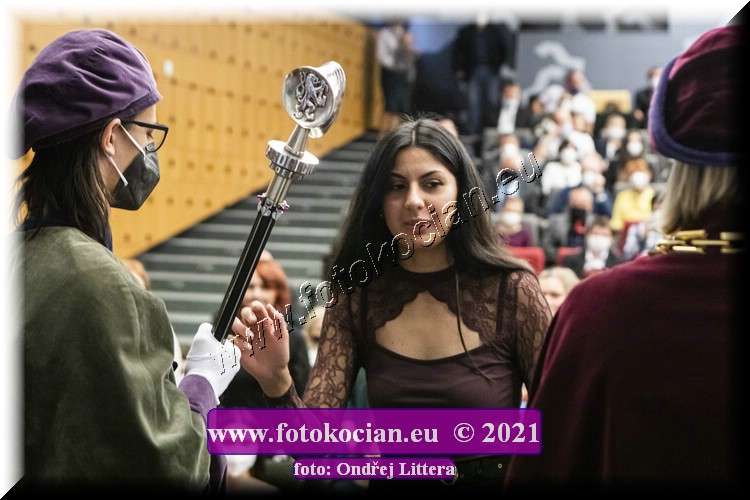 Náhled obrázku: _60A0663.jpg