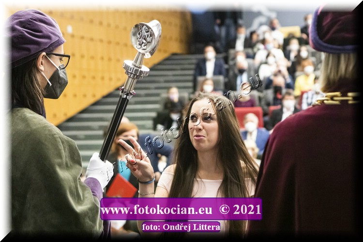 Náhled obrázku: _60A0720.jpg