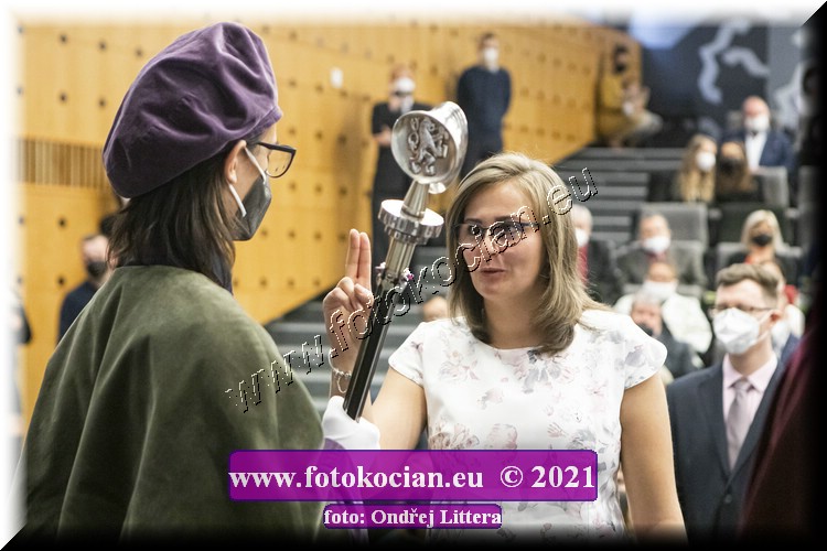 Náhled obrázku: _60A0943.jpg