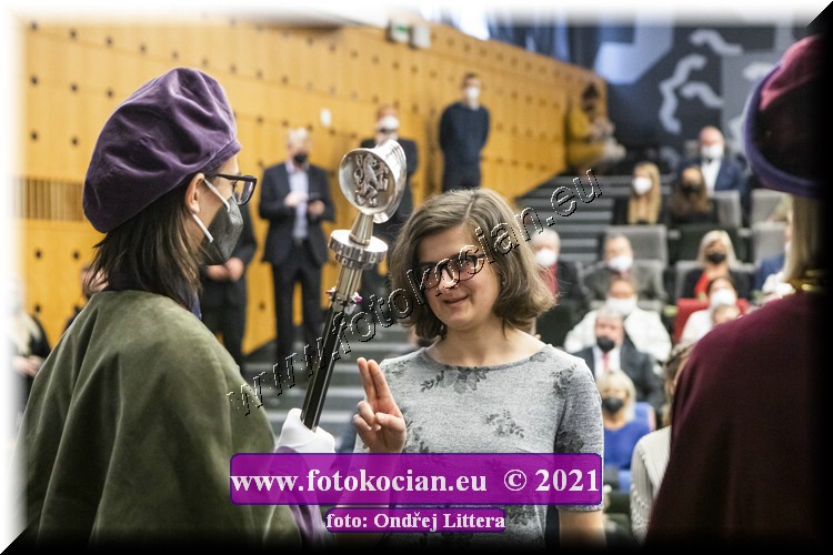 Náhled obrázku: _60A0950.jpg