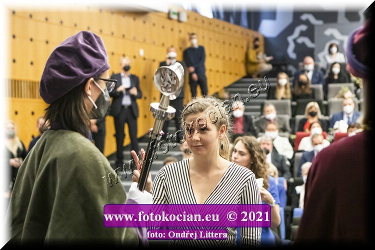 Náhled obrázku: _60A0963.jpg