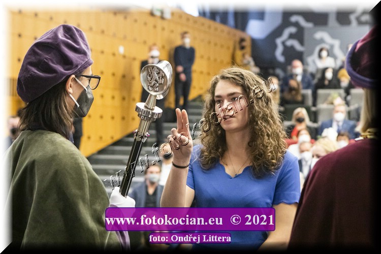 Náhled obrázku: _60A0970.jpg