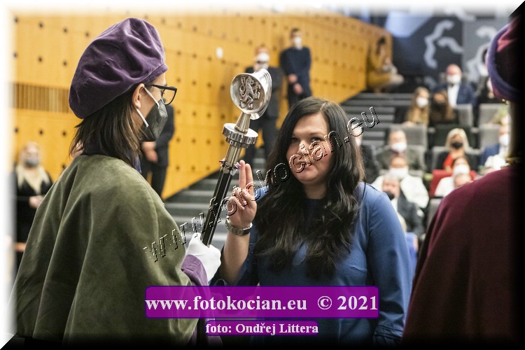 Náhled obrázku: _60A0978.jpg