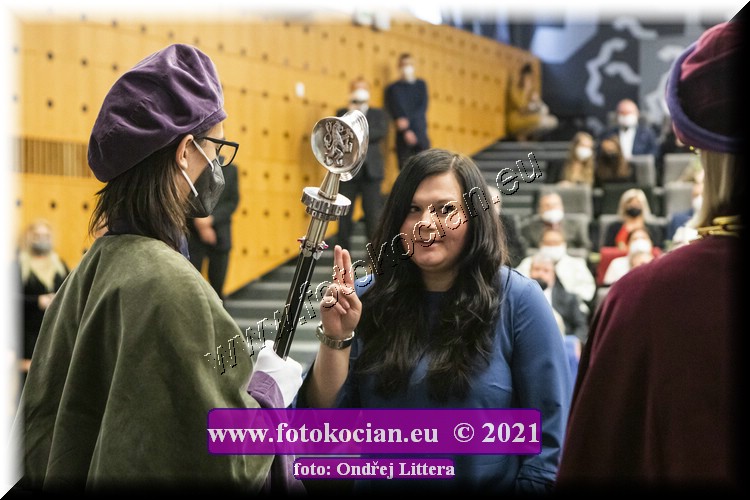 Náhled obrázku: _60A0979.jpg