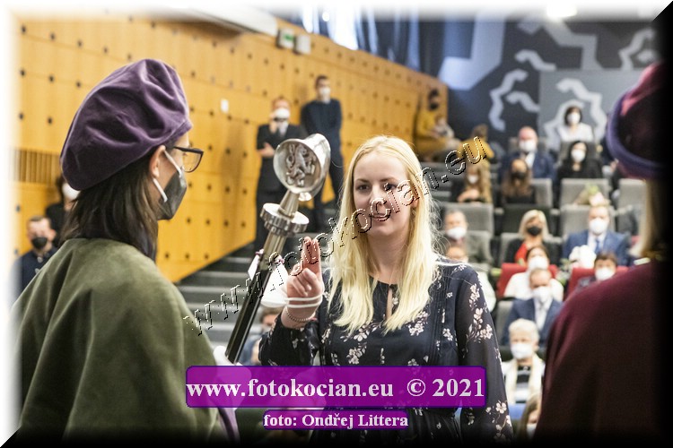 Náhled obrázku: _60A0985.jpg