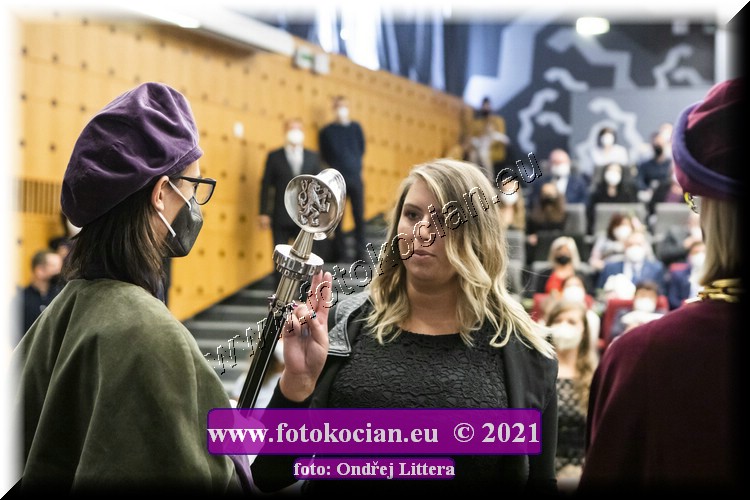 Náhled obrázku: _60A1039.jpg