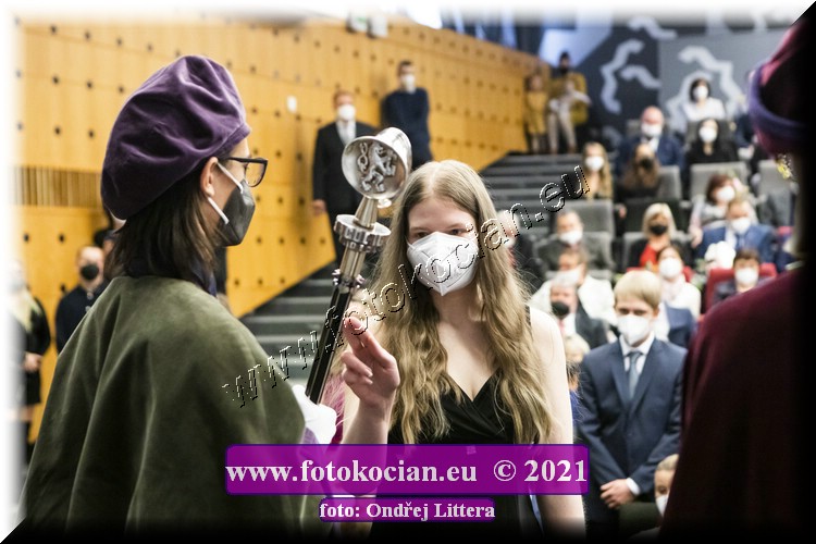 Náhled obrázku: _60A1046.jpg