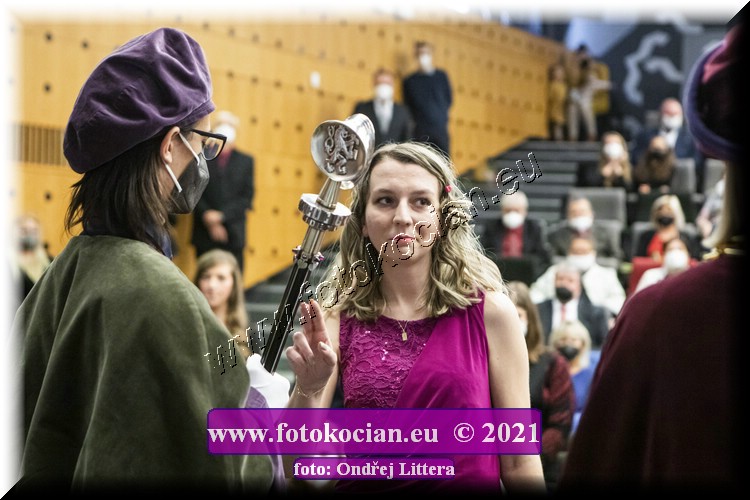 Náhled obrázku: _60A1065.jpg