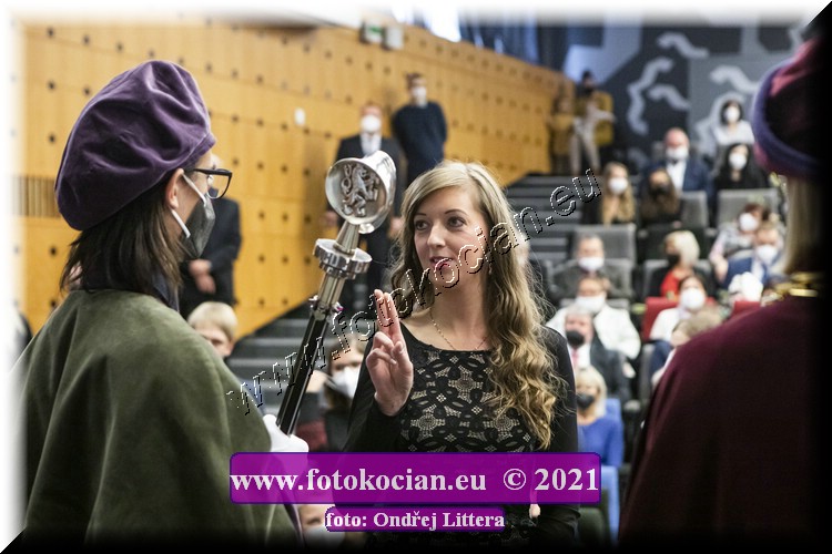 Náhled obrázku: _60A1069.jpg