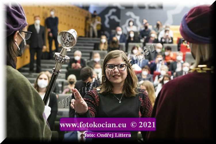 Náhled obrázku: _60A1084.jpg