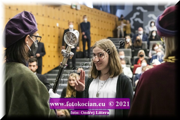 Náhled obrázku: _60A1098.jpg