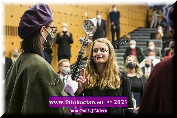 Náhled obrázku: _60A1112.jpg