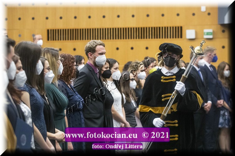 Náhled obrázku: _60A1195.jpg