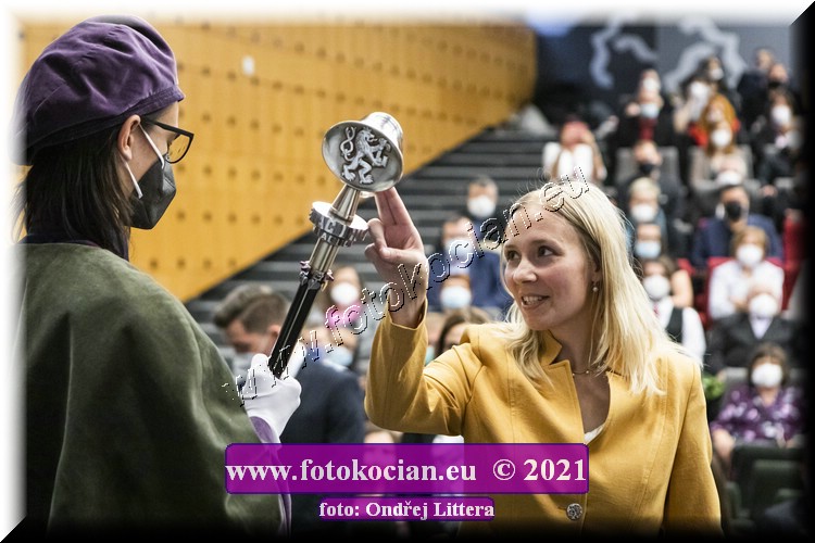 Náhled obrázku: _60A1218.jpg