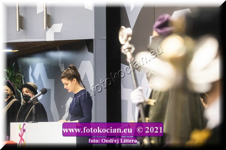 Náhled obrázku: _60A1245.jpg